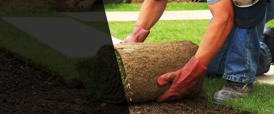 Garden City Landscapers